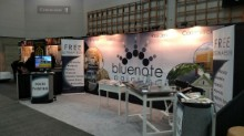 Bluenote Painting Home Show Booth